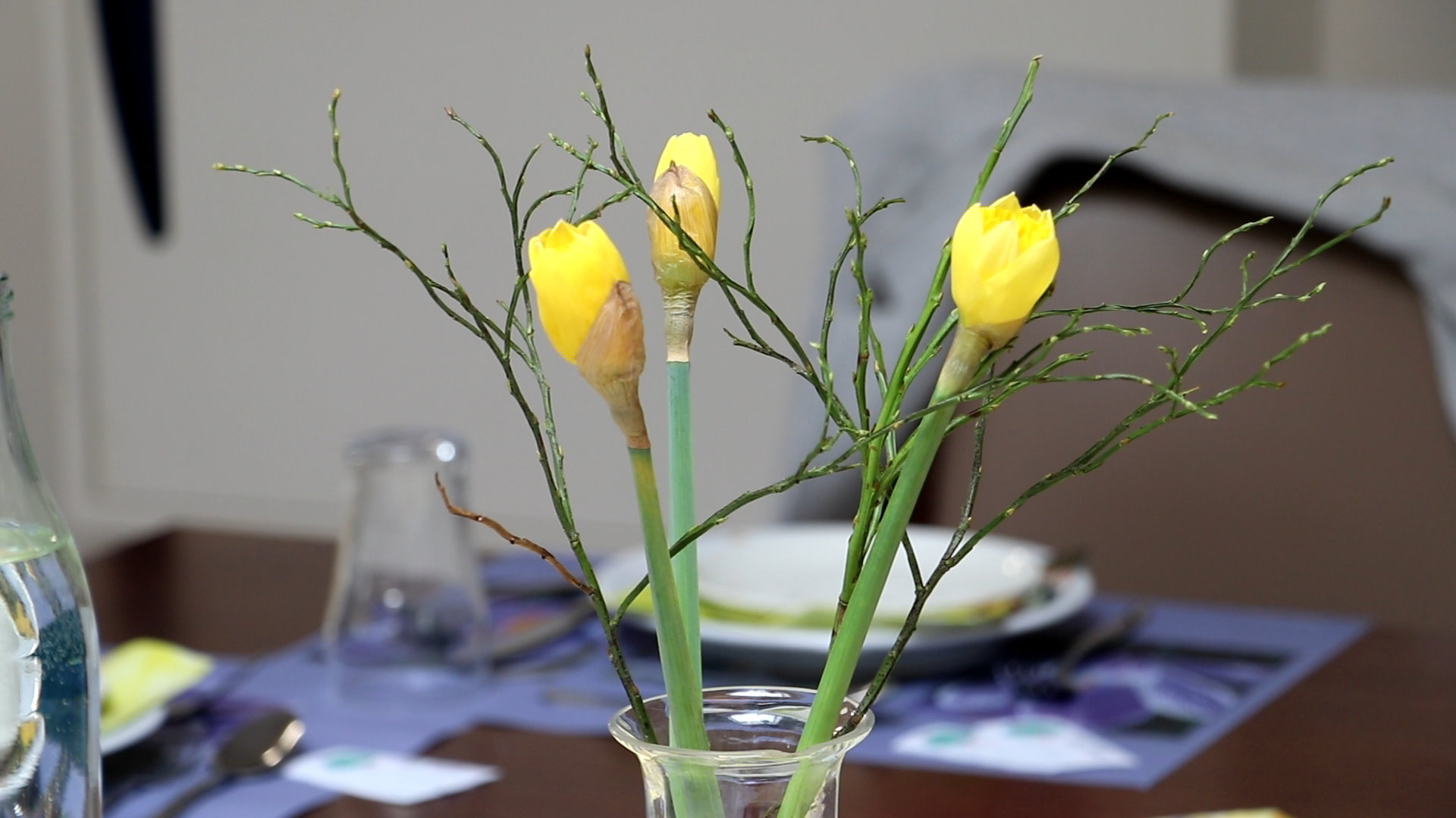 13 ovo_250412_paas_8254.jpg